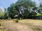 (TL140) 54 Perch Land With House For Sale in Negombo