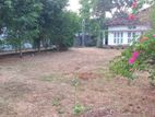 (TL155) 51 Perch Land with old House For Sale in Handala Wattala