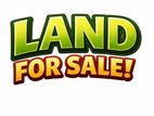 (TL185) 32 Perch Land For Sale in Bandarawela