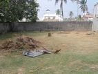(TL224) 13 Perch Land For Sale in Kadirana Negombo