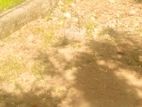 (TL236) 10 Perch Land For Sale in Kaduwela Nawagamuwa