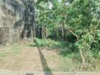 (TL25) 06 perch Land for Sale in Dehiwala