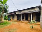 🏡✨ තල්දූව – මීවිටිගම්මන පාර අසලින් අගනා නිවසක්