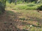 Land for Sale in Horana