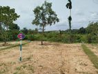 තලගල බෙරුකැටිය බිම් කොටස් විකිණීමට ..