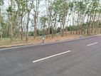 තලගල බෙරුකැටිය බිම් කොටස් විකිණීමට