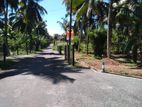 තලගල බෙරුකැටිය බිම් කොටස් විකිණීමට