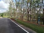 තලගල බෙරුකැටිය බිම් කොටස් විකිණීමට .