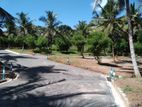 තලගල හන්දියට ආසන්නව බිම් කොටස් විකිණීමට