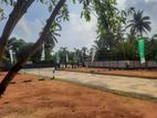 තල්පිටිය වාද්දුව ගාලුපාරට ලගින් සුපිරි බිම් කොටස් N38