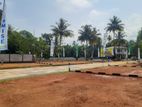 තල්පිටිය වාද්දුව වටිනා බිම් කොටස් N38