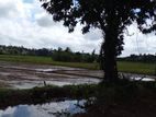 තලවතෝගොඩ - බත්තරමුල්ල නගරවලට ආසන්නයේ කුඹුරුයායකටම මුහුණලා ඉඩමක්
