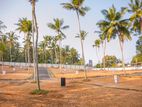 තලවතුගොඩ හෝකන්දරින් 336 පාරට සමීපව අගනා බිම් කොටස් විකිණීමට
