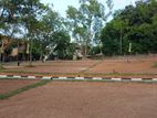 තලවතුගොඩ නගරයේ වටිනා බිම් කොටස් විකිනීමට