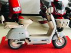 TMR Electric Bike 2024