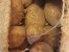 Potatoes