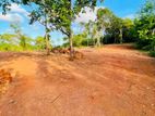 🛑 තංගල්ල, රැකව සංචාරක කලාපයෙන් වටිනා බිම් කොටසක් විකිණීමට ඇත.