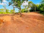 ​🛑 තංගල්ල, රැකව සංචාරක කලාපයෙන් වටිනා බිම් කොටසක් විකිණීමට.