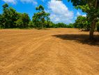 තංගල්ල රැකවෙන් වටිනා බිම් කොටසක්
