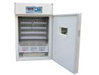 Egg Incubator