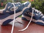 Sneaker Shoes