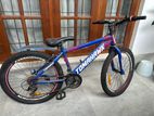 Tomahawk Mountain Bicycle