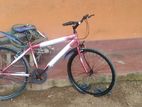 Tomahawk Bike