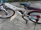 Tomahawk Bicycle