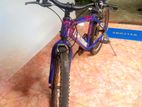 Tomahawk Mountain Bicycle