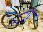 Tomahawk Mountain Bicycle