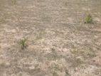 Land for Sale மட்டக்களப்பு சொறுவாமுனை