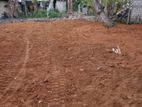 Top land For sale Boralasgamuwa