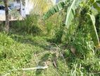 Top Land for Sale Boralasgamuwa Town