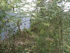 Top Land for Sale Boralesgamuwa