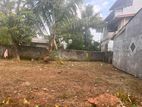 Top Land for Sale Borelesgamuwa