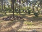 Top Land for Sale Homagama