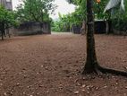 Top Land for Sale Pannipitiya