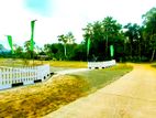 Top Valubale Land Plots For Sale In Nawagamuwa