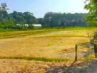 Top Valubale Land Plots For Sale In Nawagamuwa