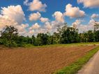Top Valuble Land Plots For Sale In Nawagamuwa