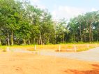 Top Valuble Land Plots For Sale In Nawagamuwa