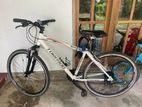 TORPADO Sport Bicycle