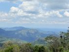 🌿 Tourism Land for Sale in Beragala – Sri Lanka’s Next Hub