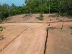 Tourism Land For Sale In Hirikatiya