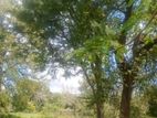 Tourism Land for Sale in Kataragama