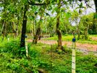 Tourism Land in Koggala Lake,Gallea