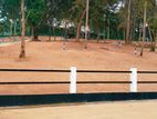 Tourism Land Plot Sale Hiriketiya Beach