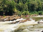 Tourism Lands - Rafting කරන ගඟට මුහුණලා බිම්කොටස් විකිණීමට ඇත