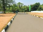 Tourists Land Dikwella