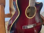 Toyama Semi Acoustic 40" F cut Japan Box Guitar